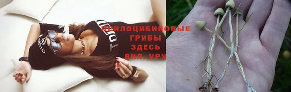 винт Володарск