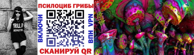 Псилоцибиновые грибы ЛСД  Купить  Опочка 